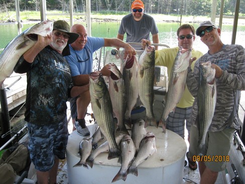 Nice Striped Bass